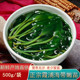不吃小鱼盐渍海带苗福建霞浦新鲜嫩苗裙带菜凉拌火锅食材海带嫩芽