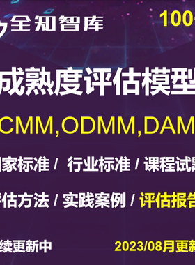 DCMM成熟度评估模型国内外标准指南实践方案评估报告模板DAMA考试
