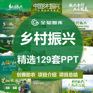 乡村振兴ppt模板高级感创赛绿色挑战杯互联网加乡村建设项目介绍