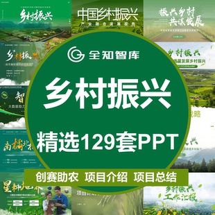 乡村振兴ppt模板高级感创赛绿色挑战杯互联网加乡村建设项目介绍