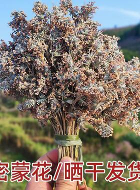 云南密蒙花新鲜现摘染米花