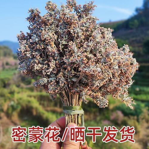 云南密蒙花新鲜现摘染米花