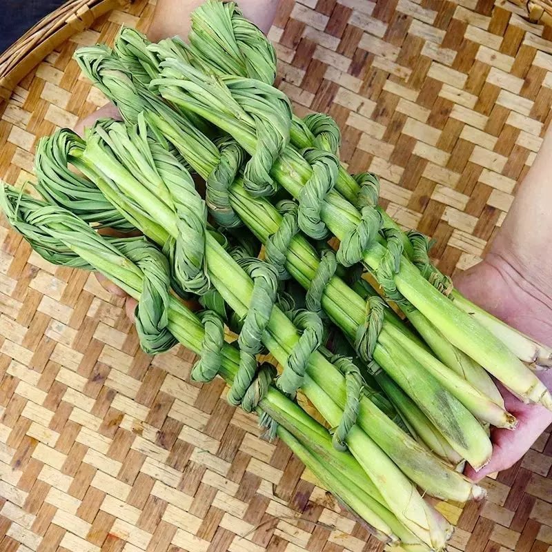 云南傣味香料 新鲜香茅草 冬阴功风味调料烤鱼烤肉凉拌菜增香