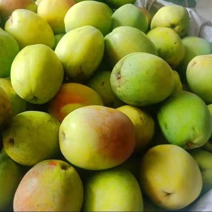 云南酸木瓜临沧特产泡酒炖鸡