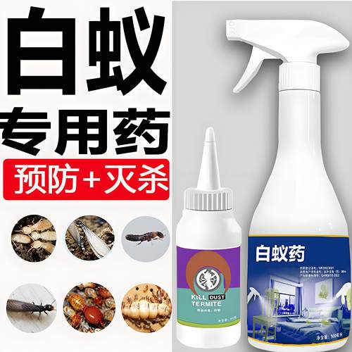 【直击白蚁老巢】传染死亡包杀死