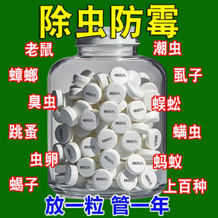 樟腦丸衣柜防霉防蟲芳香驅蟲除味防蟑螂家用臭丸球天然臭蛋衛生球