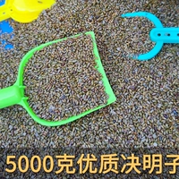 Кассин 10 фунтов