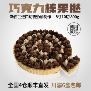 蓓听巧克力榛果挞蛋糕冷冻动物奶油西餐厅咖啡馆商用甜品半成品