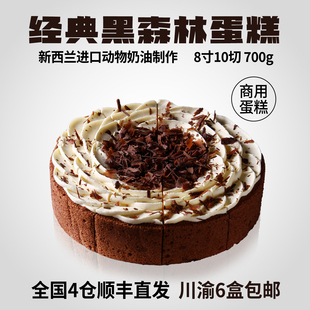 蓓听经典黑森林蛋糕冷冻动物奶油西餐厅咖啡馆商用慕斯甜品半成品