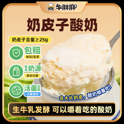 牛胖胖内蒙古特产手工鲜奶皮子酸奶早餐酸奶嚼着吃520g/1罐