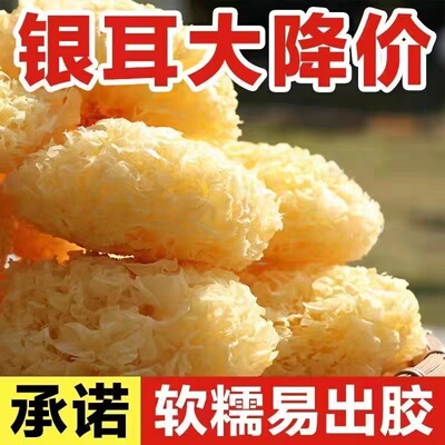 古田特产大花银耳新鲜干货雪耳糯耳白木耳出胶软糯新货批发