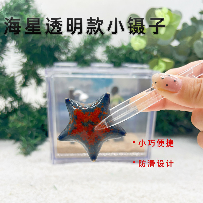 【海星便捷小镊子】小巧便捷透明款小镊子缸内清洁好物 - 实物图