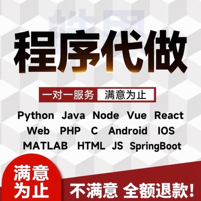 python程序代编vue前端web网页设计matlab建模仿真java项目代做