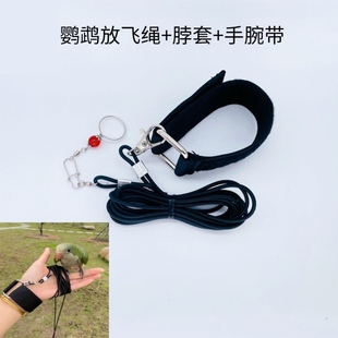 牡丹玄凤鹦鹉超轻户外放飞绳小太阳和尚外出遛鸟训鸟牵引弹力绳
