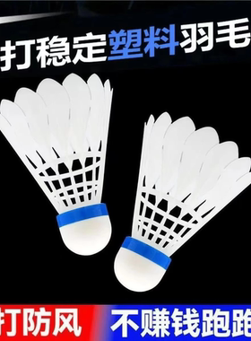 羽毛球黑色白色6个高弹不烂仿真装耐打鹅毛球室内外训练专用球