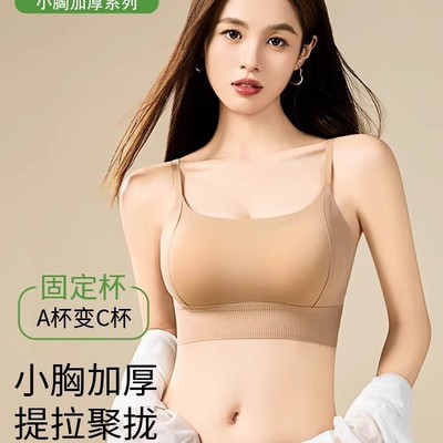 小胸加厚美背内衣女聚拢显大