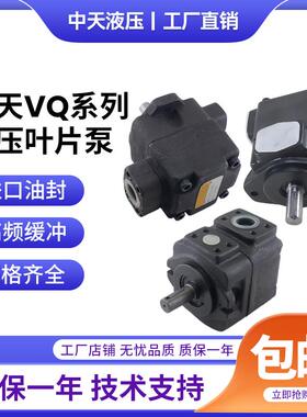 新款高压液压泵低噪VQ/DVQ15/20/25/35/45/215/225/425定量油包邮