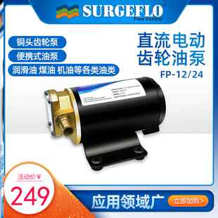 新款surgeflo小型电动齿轮油泵正反转抽柴油润滑油泵直流加油设备