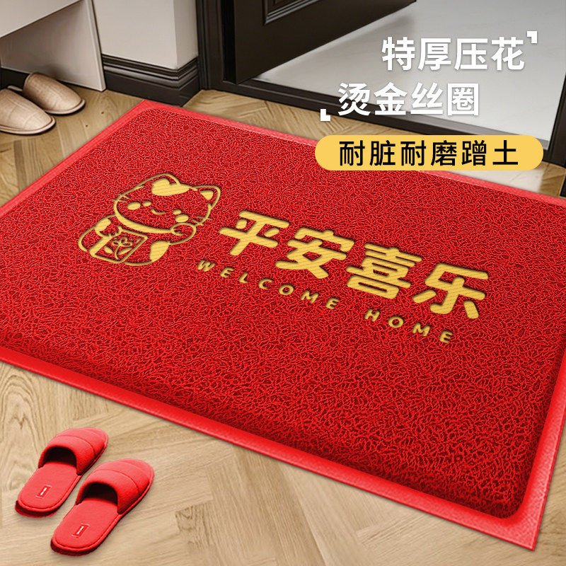 丝圈地垫入户门进门脚垫子玄关出入平安门垫室外防滑耐脏免洗地毯
