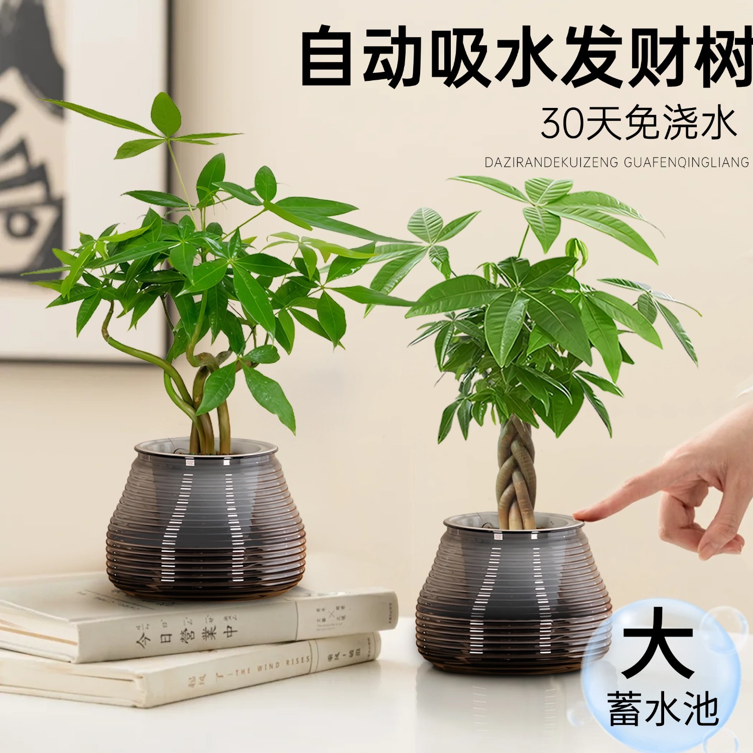 发财树室内盆栽桌面办公室工位绿植摆件富贵竹植物客厅招财小盆景