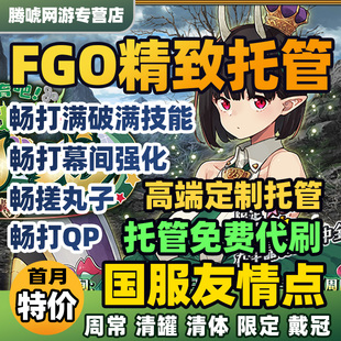 FGO日服JP服代练代肝友情点狗粮满破310搓丸子周常精致托管活动