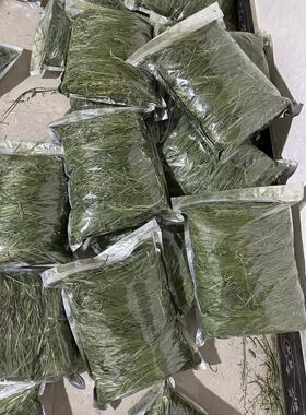 25年烘干岷县北提有穗提摩西草段兔子龙猫豚鼠荷兰猪满5斤包邮