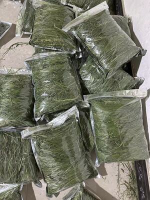 25年提摩西草段宠爱北提一袋一斤