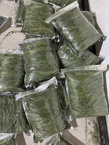 25年提摩西草段宠爱北提一袋一斤