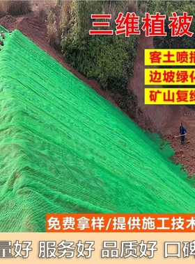 绿色喷播植草三维植被网厂家可定制3层绿化环保河道护坡山体固土