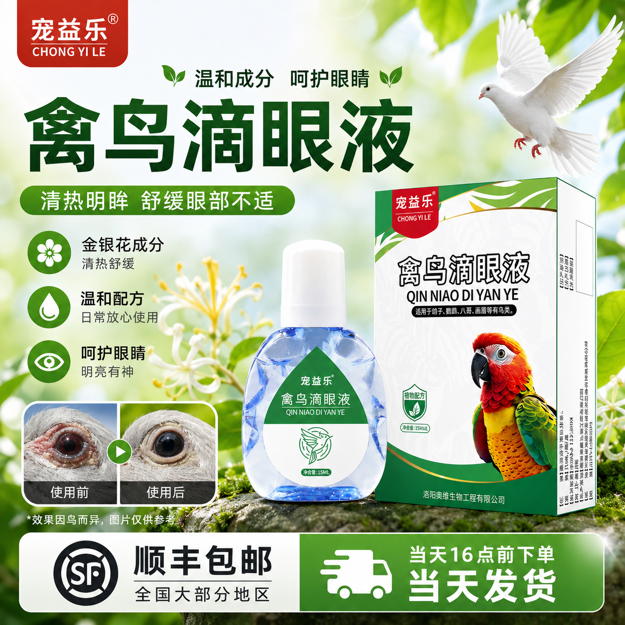 鹦鹉眼病单眼伤风眼流泪肿胀闭眼一滴灵玄风虎皮信鸽常见病眼药水