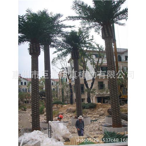 仿真海枣树塑胶皮中东海藻树人造仿生加拿利海藻树工程绿化假大树