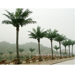 弯杆仿真椰子树植物造景假大皇椰棕榈树园林景观装饰假树厂家直销