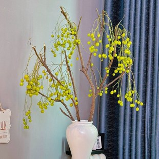 速发垂丝海棠果鲜切云培南基地直发室内水枝植物家用插花小柿子