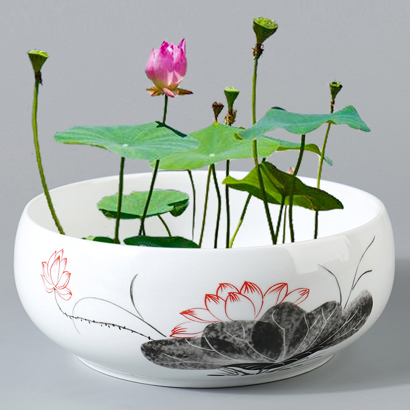 速发大号无荷水莲孔花碗培铜钱草水仙绿萝花盆陶瓷盆创意水养容器