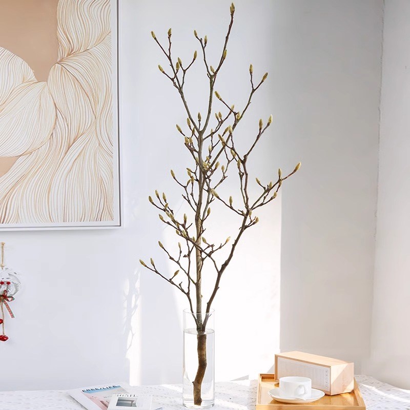 速发水培玉兰花鲜切云鲜直发耳坠花鲜枝插花海棠花南切花辛夷花