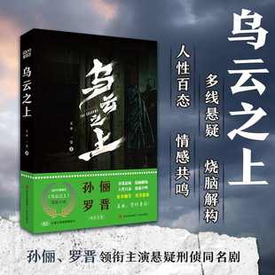 悬疑推理与人性探讨 孙俪罗晋主演电视剧原著小说 犯罪小说书 见证一场正义与罪恶 犯罪侦探推理 乌云之上 终极较量 王不一莹著