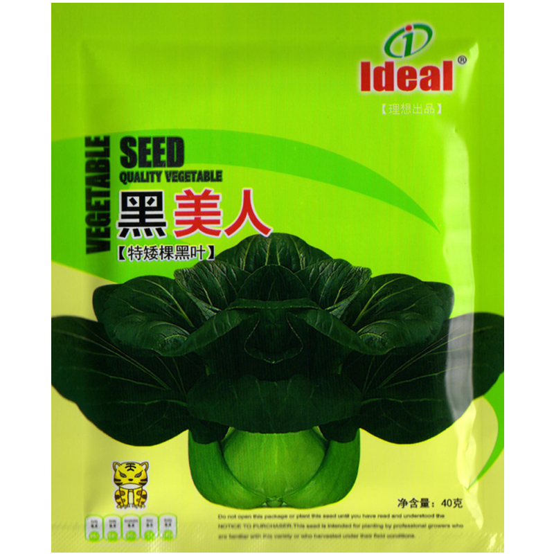 苏州青种子油菜籽黑美人梗