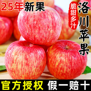 2025年现摘洛川红富士苹果新鲜水果整箱包邮9斤丑苹果脆甜大精选