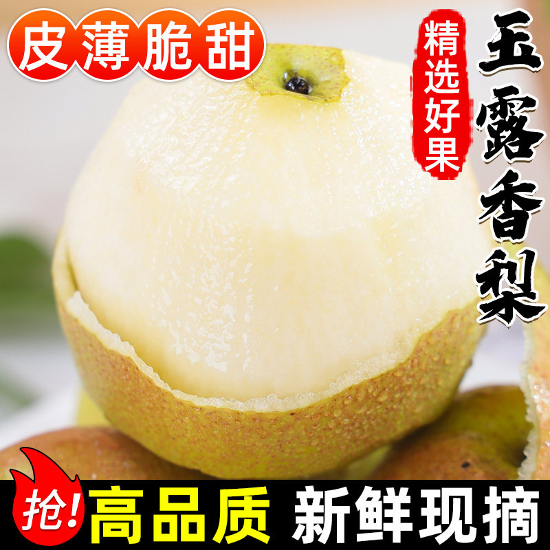 玉露香梨新鲜水果现摘整箱包邮脆冠梨当季雪梨酥梨精选大果5斤,水产肉类/新鲜蔬果/熟食,梨,淘宝优惠券,粉丝福利购,淘宝优惠卷