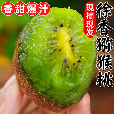 2025翠香猕猴桃热卖水果新鲜