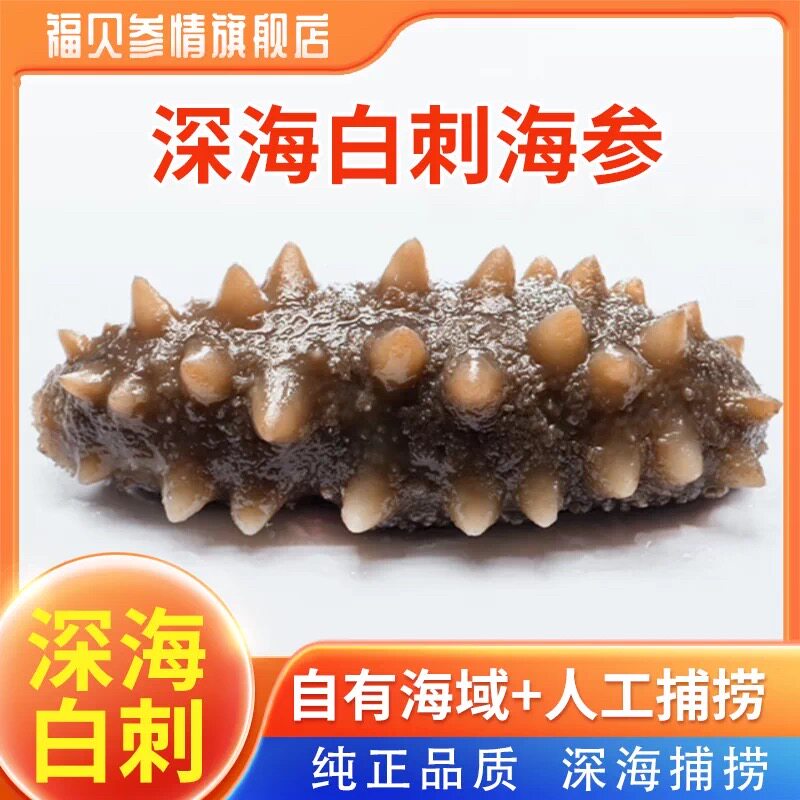 大连刺参1斤3斤5斤装福贝参情
