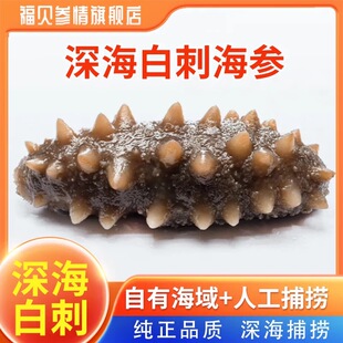 大连白刺鲜蒸即食海参辽刺参孕妇刺参礼盒单个装干货海生旗舰店