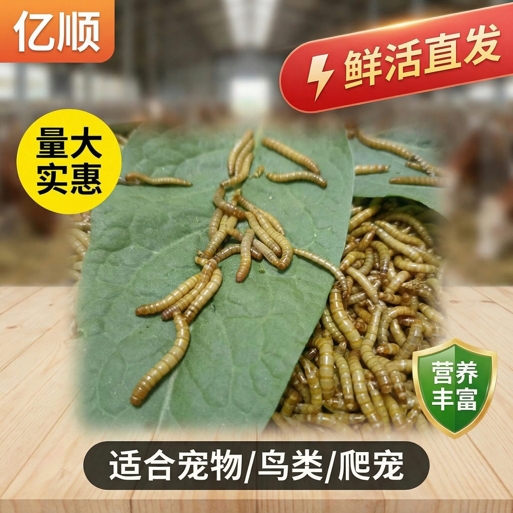 黄粉虫活体面包虫鸟食鱼龟蜥蜴