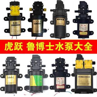 电动喷雾器双泵高压果树菜园浇花浇水泵双核泵双泵打药抽水泵