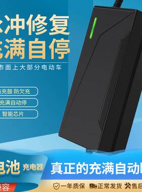 锂电池充电器48V2A24V36V42A60V54.6VA67.2V72V电动车滑板车代驾