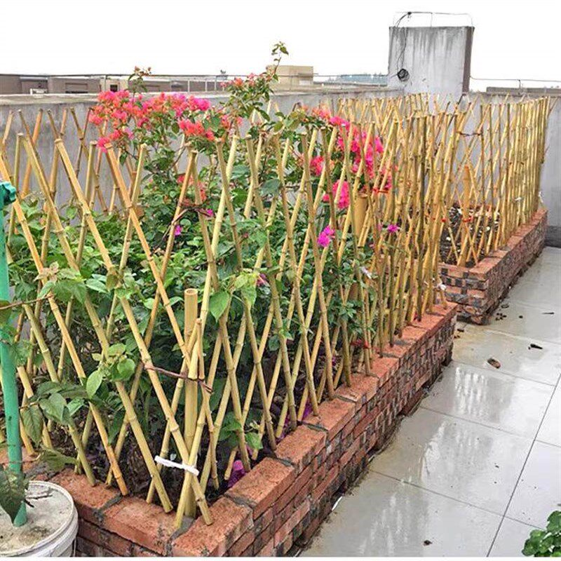 速发竹篱笆围栏栅栏户外花园庭院子遮挡菜园地围栏围墙护栏月季爬