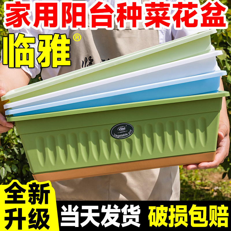 速发家用花盆专多台种植家庭种菜箱庭院草莓盆栽长方形盆料用肉塑