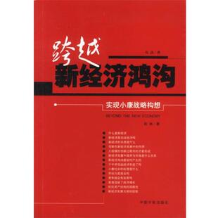 桁林 著跨越新经济鸿沟（正版旧书包邮）中国宇航出版社9787801445711