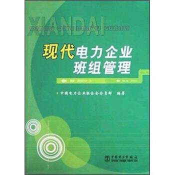 中国电力企业联合会会员部 编现代电力企业班组管理（正版旧书包邮）中国电力出版社9787508323305