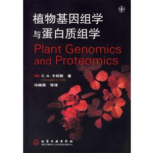 (英)卡利斯(Cullis,C.A.) 著,冯晓燕 等译植物基因组学与蛋白质组学(正版旧书包邮)化学工业出版社9787502588625